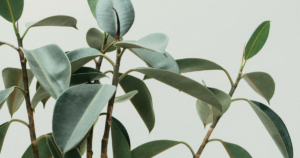 Starting a brand from scratch. Five marketing lessons.
